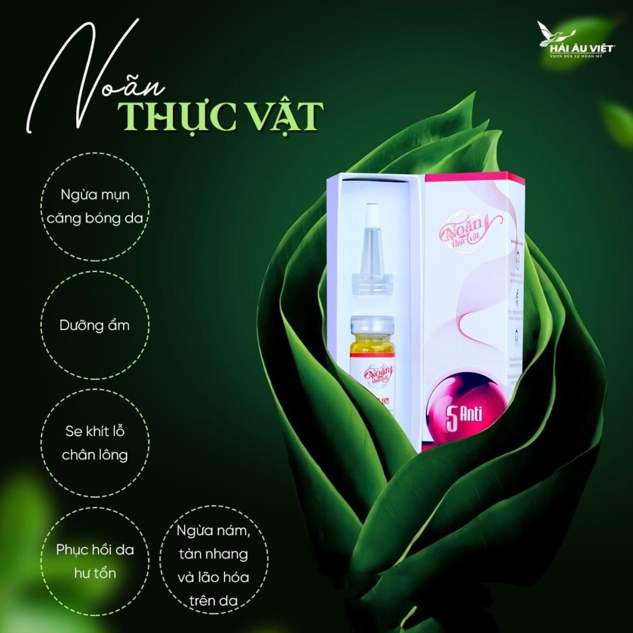 Noãn Thực Vật 6ml