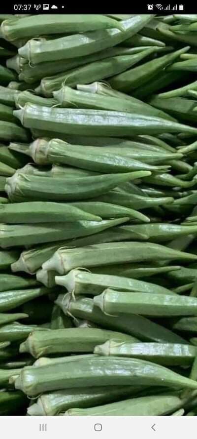Đậu bắp 1kg