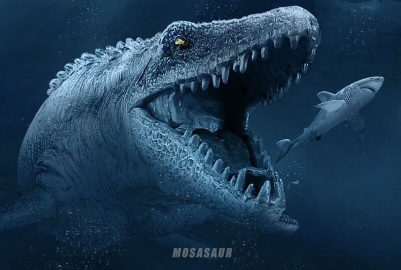 Tổng hợp nhiều hơn 89 hình nền mosasaurus mới nhất  thdonghoadian