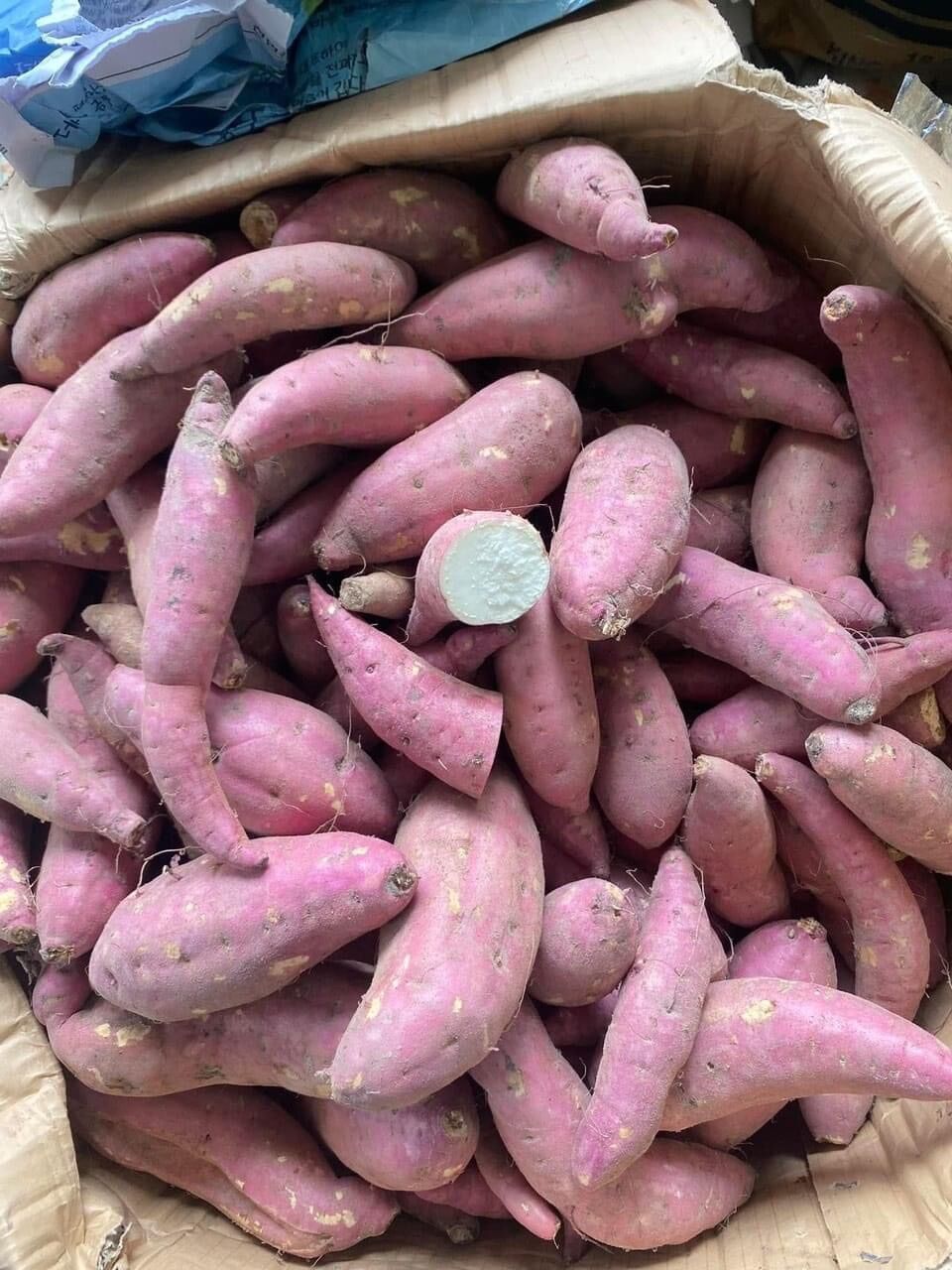 Combo 3kg Khoai Lang Campuchia (Khoai lang hồng đào)