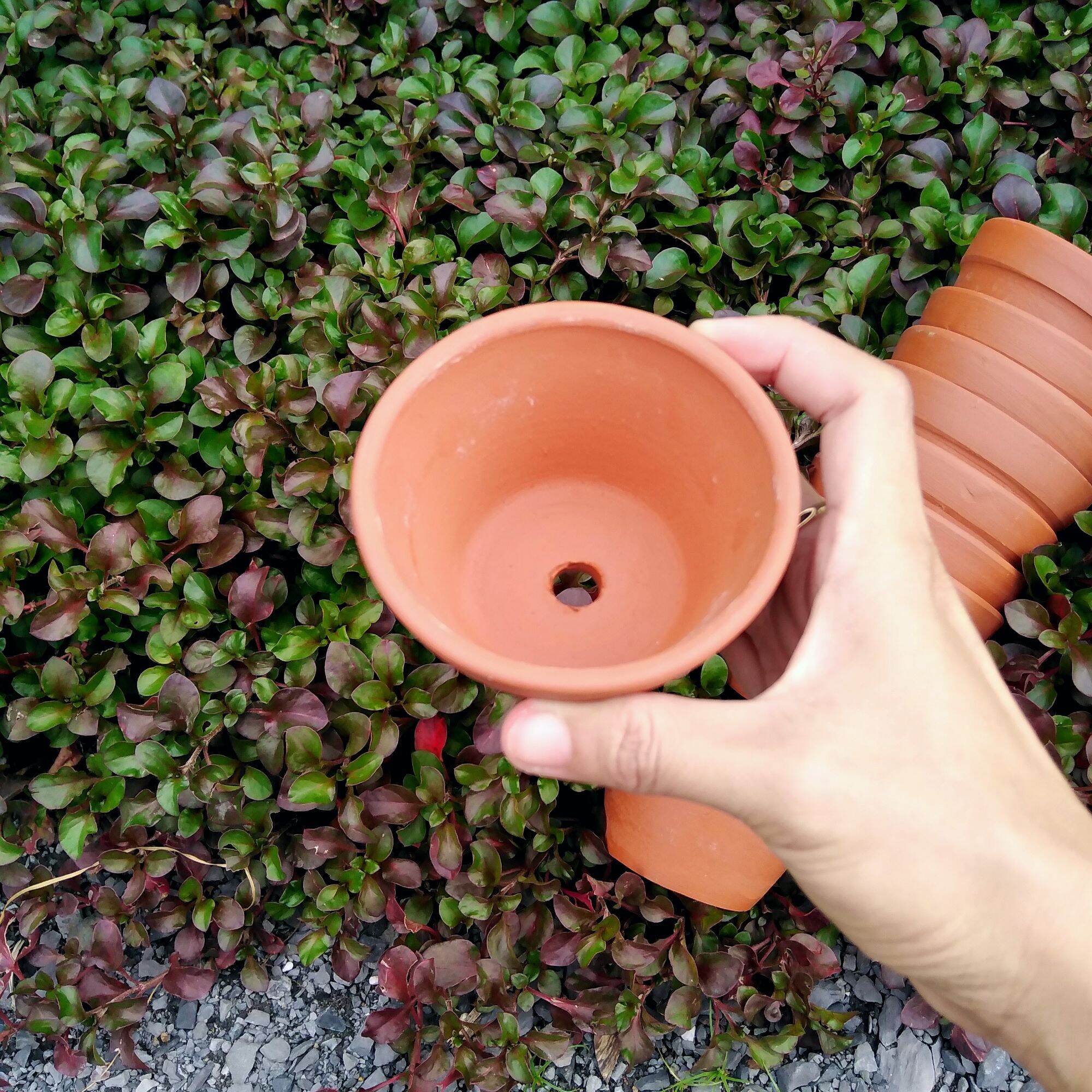 [Bao Bể Vỡ] Chậu Đất Nung Trồng Sen Đá Lùn 9x5Cm