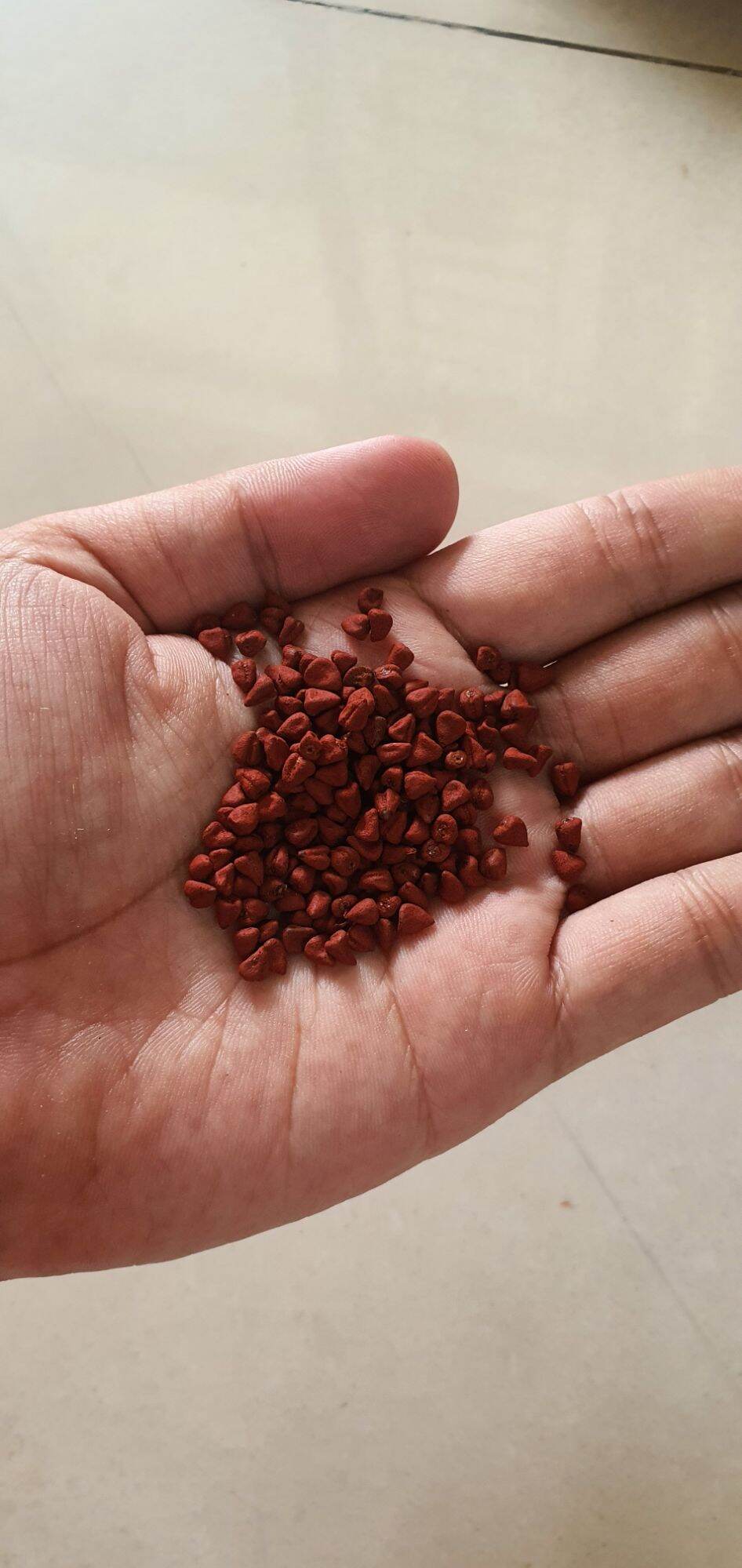 Hạt điều màu, hạt cà ri