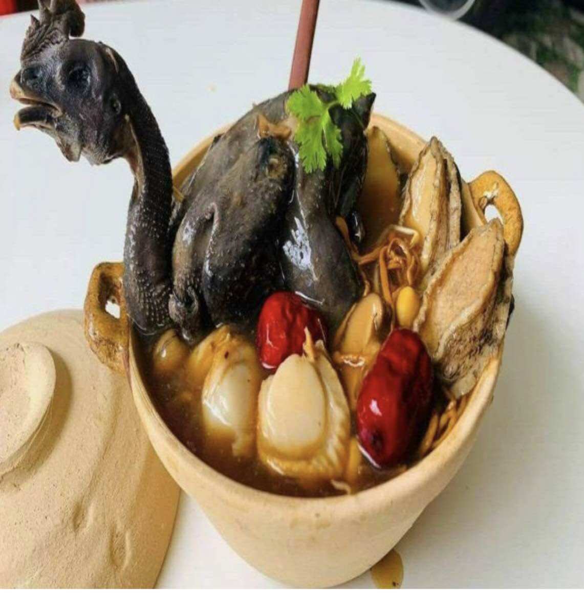 Than thuốc Bắc tiềm gà ác, hầm gà, thịt, chim, bò…