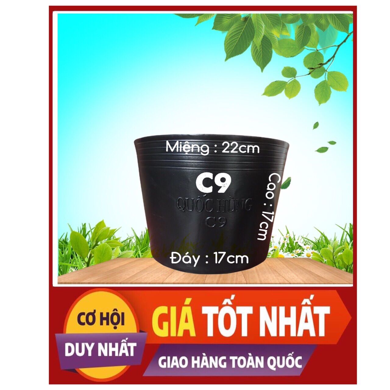 Combo 100 chậu nhựa trồng cây C9