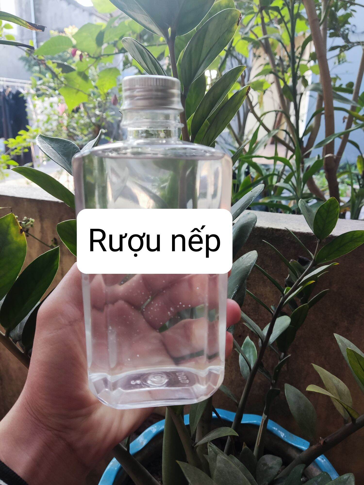 Nếp cái hoa vàng"500ml" 100% từ nếp cái hoa vàng và men bắc