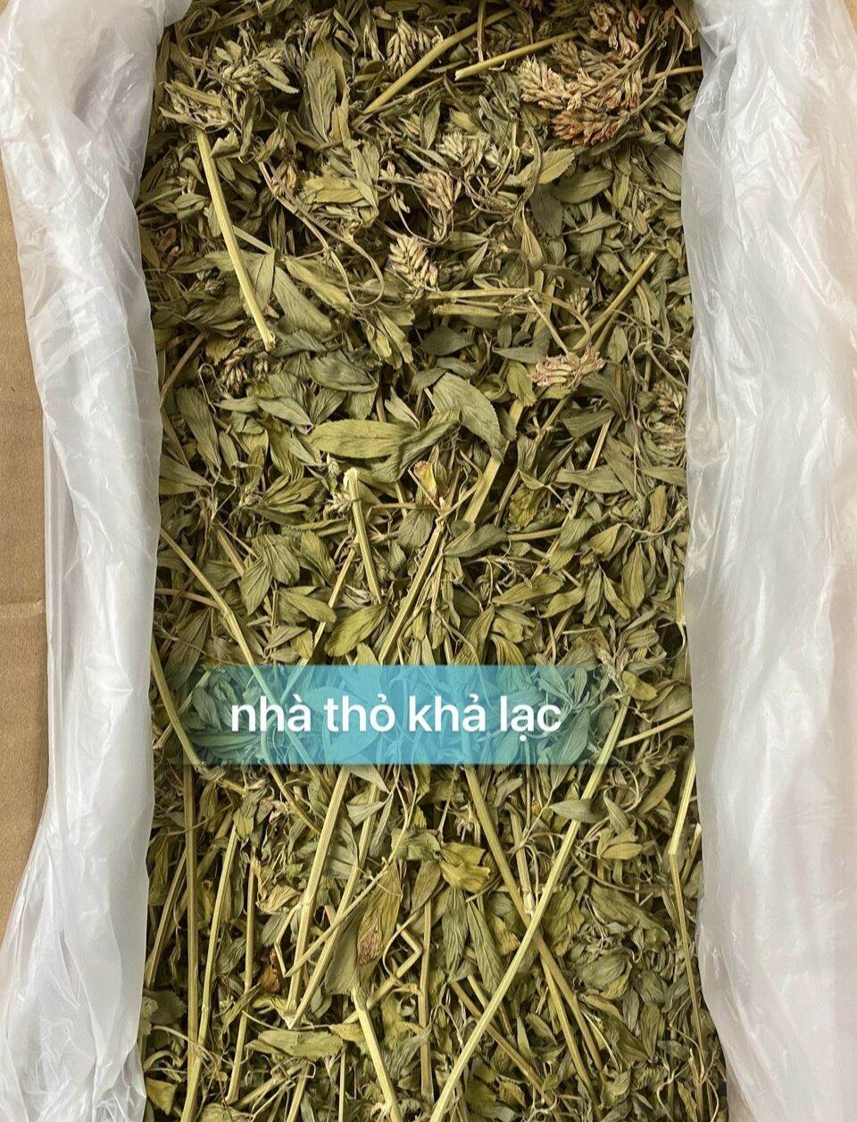 Cỏ alfalfa nguyên cành lá to , không vụn bụi dành cho thỏ - bọ - hamster - chinchilla