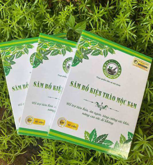 Sâm Bổ Kiện Thảo Mộc Nam Organic chính hãng. Hộp 40 viên