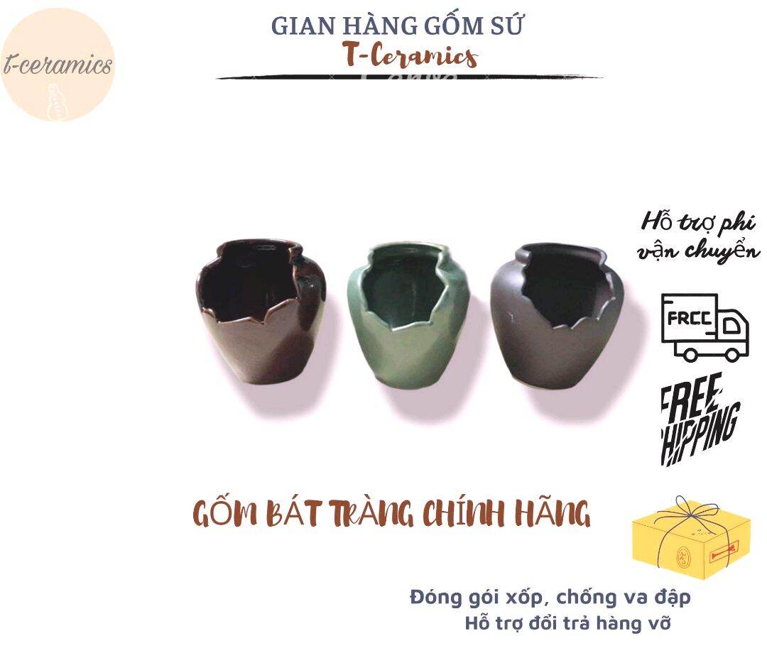 Chậu trồng cây- Chậu trồng sen đá nhiều màu