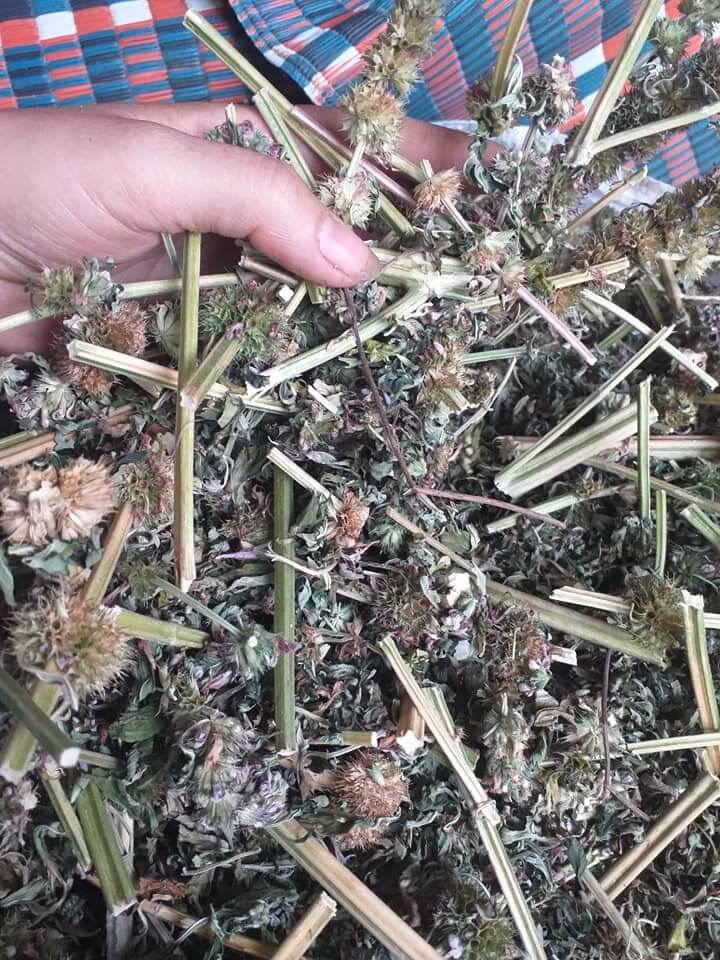 Cây ích mẫu khô (1kg)