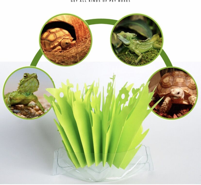 Cỏ tạo ẩm chuồng bò sát thú cưng