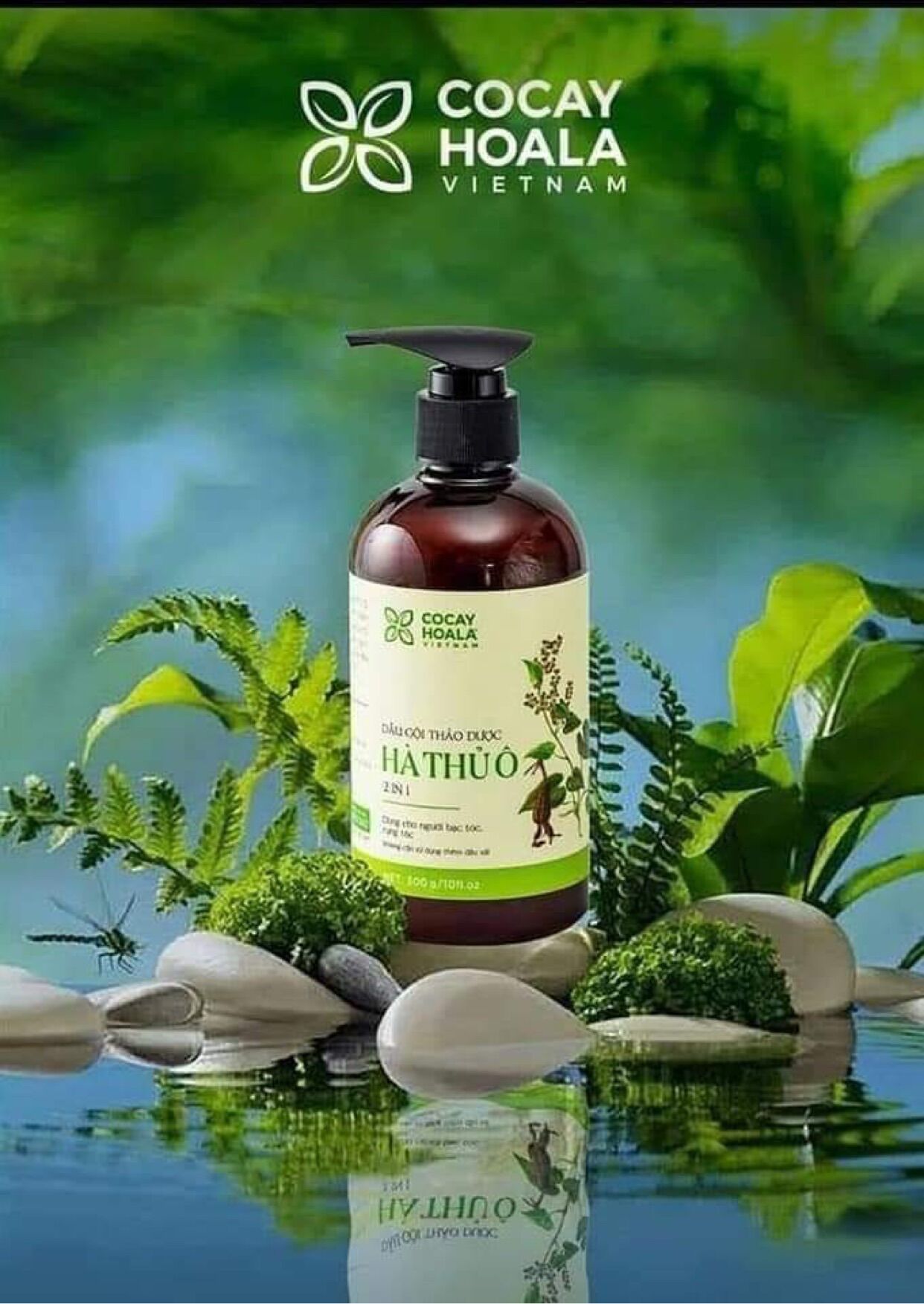 Dầu gội Hà Thủ Ô (300ml)