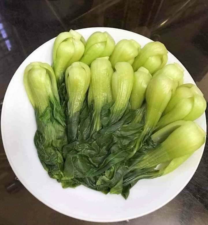 Chao môn i hình