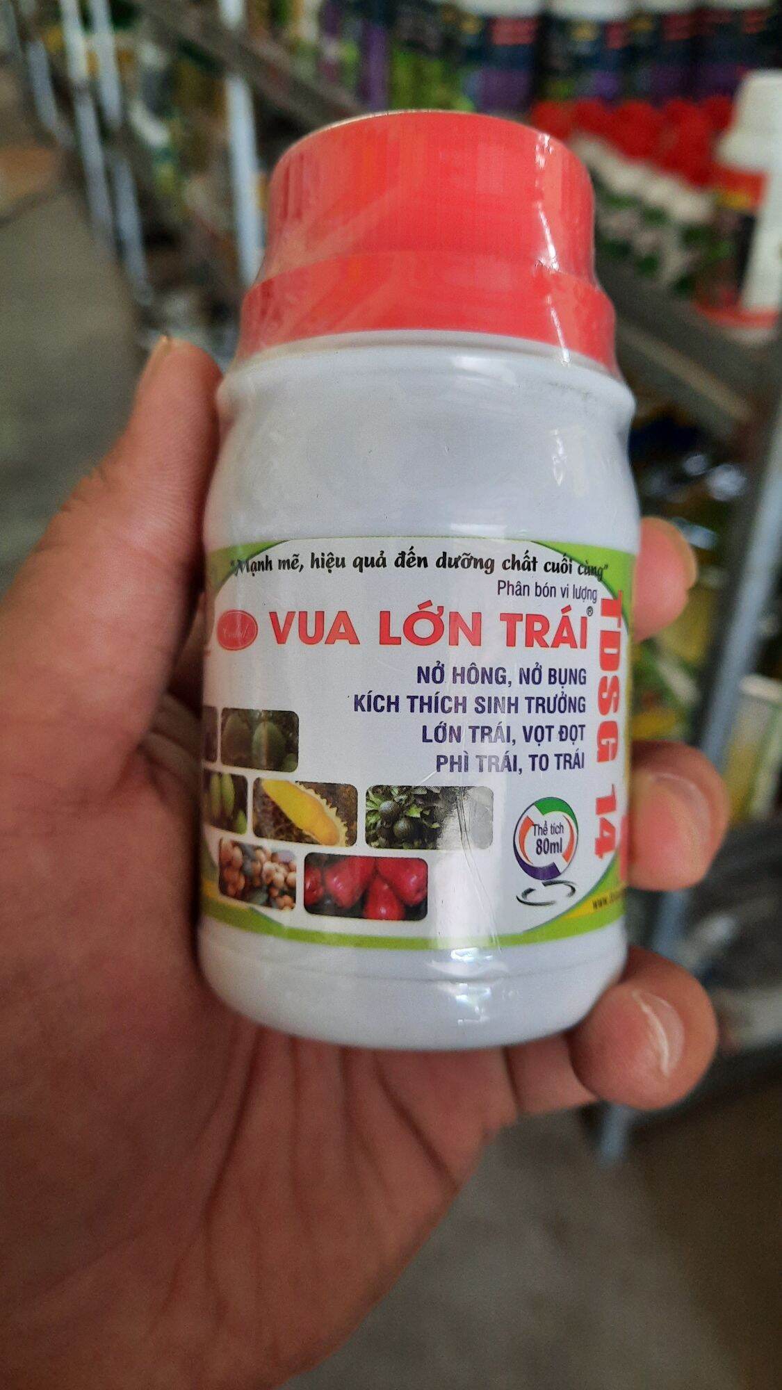 Phân bón vua lớn trái giúp nở hông, nở bụng, kích thích sinh trưởng, lớn trái, vọt đọt, phì trái, to trái.