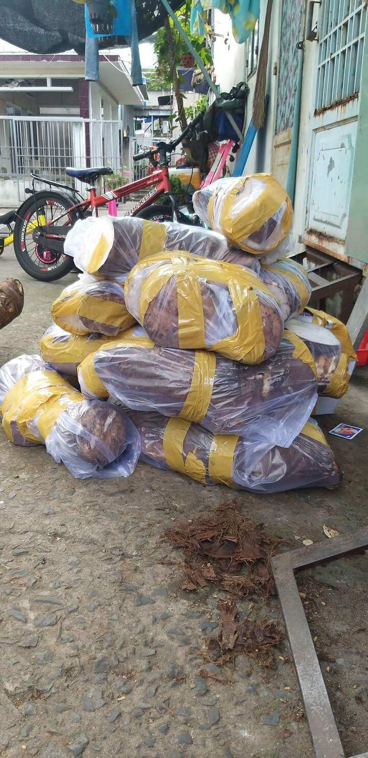 Bạc Hà Núi An Giang 100% (giấc mơ trong cuộc chiến chống Ungthu,..)