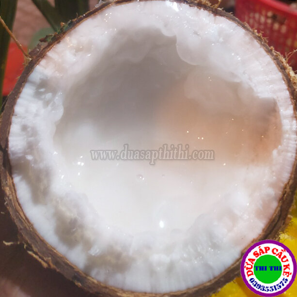 DỪA SÁP LOẠI 2 (Trái 600gr-700gr)