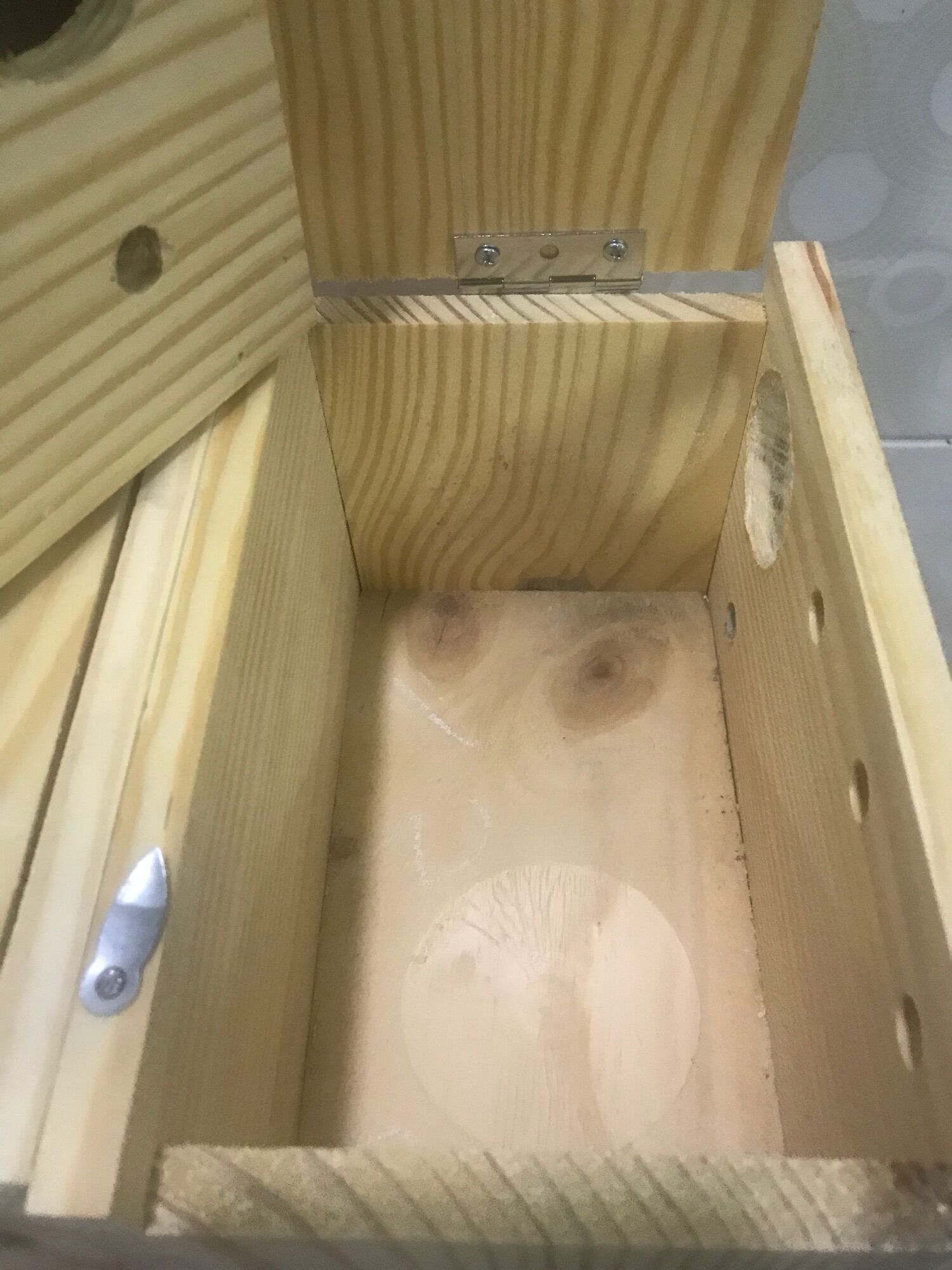 Tổ đẻ Yến phụng