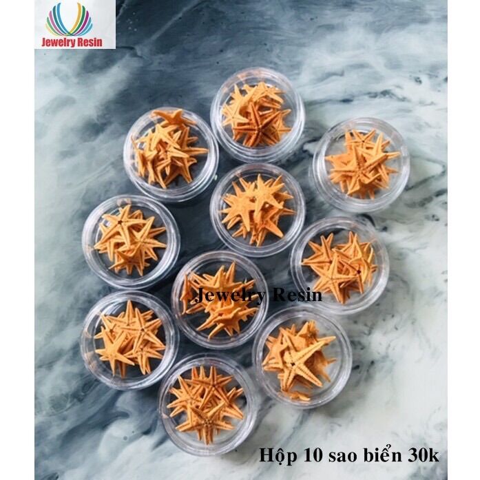 Sao Biển , Sao Biển Mini, Sao Biển Thật