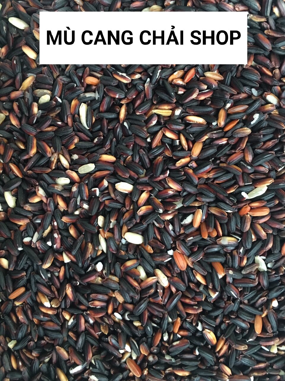 Hạt giống lúa nếp cẩm chuẩn nếp người Mông túi 500g