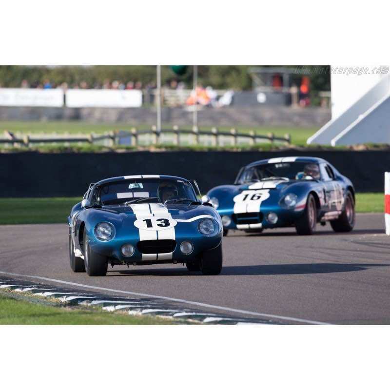 Hot Wheels Premium Shelby Cobra Daytona Coupe