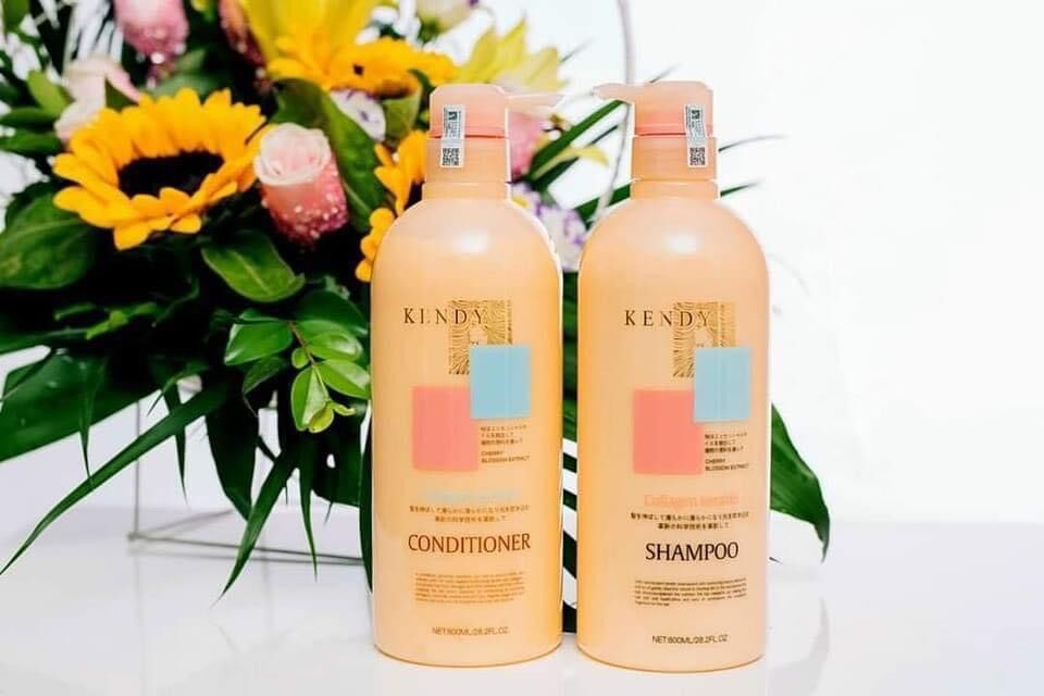 Cặp gội xả kendy dưỡng sinh