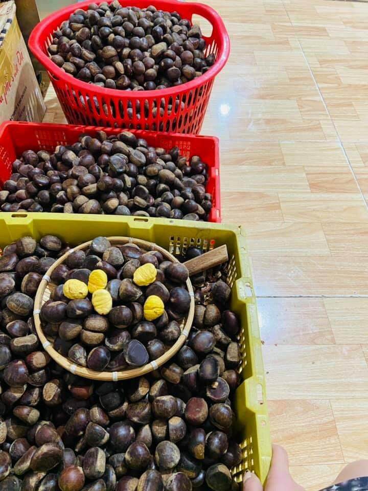 Hạt dẻ còn sống khách về tự nấu 1kg