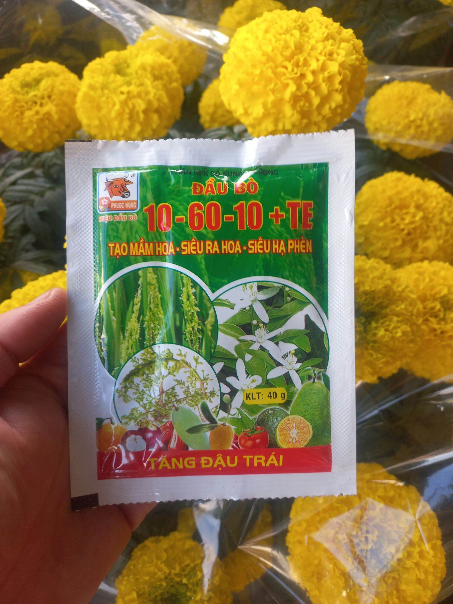 Phân bón lá đầu bò npk 10-60-10+te 40g