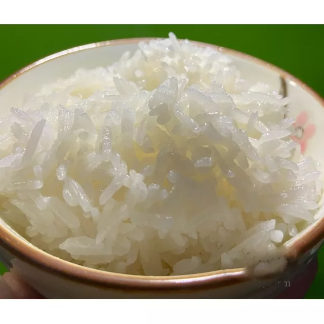 Hạt giống lúa nếp bắc túi 1kg