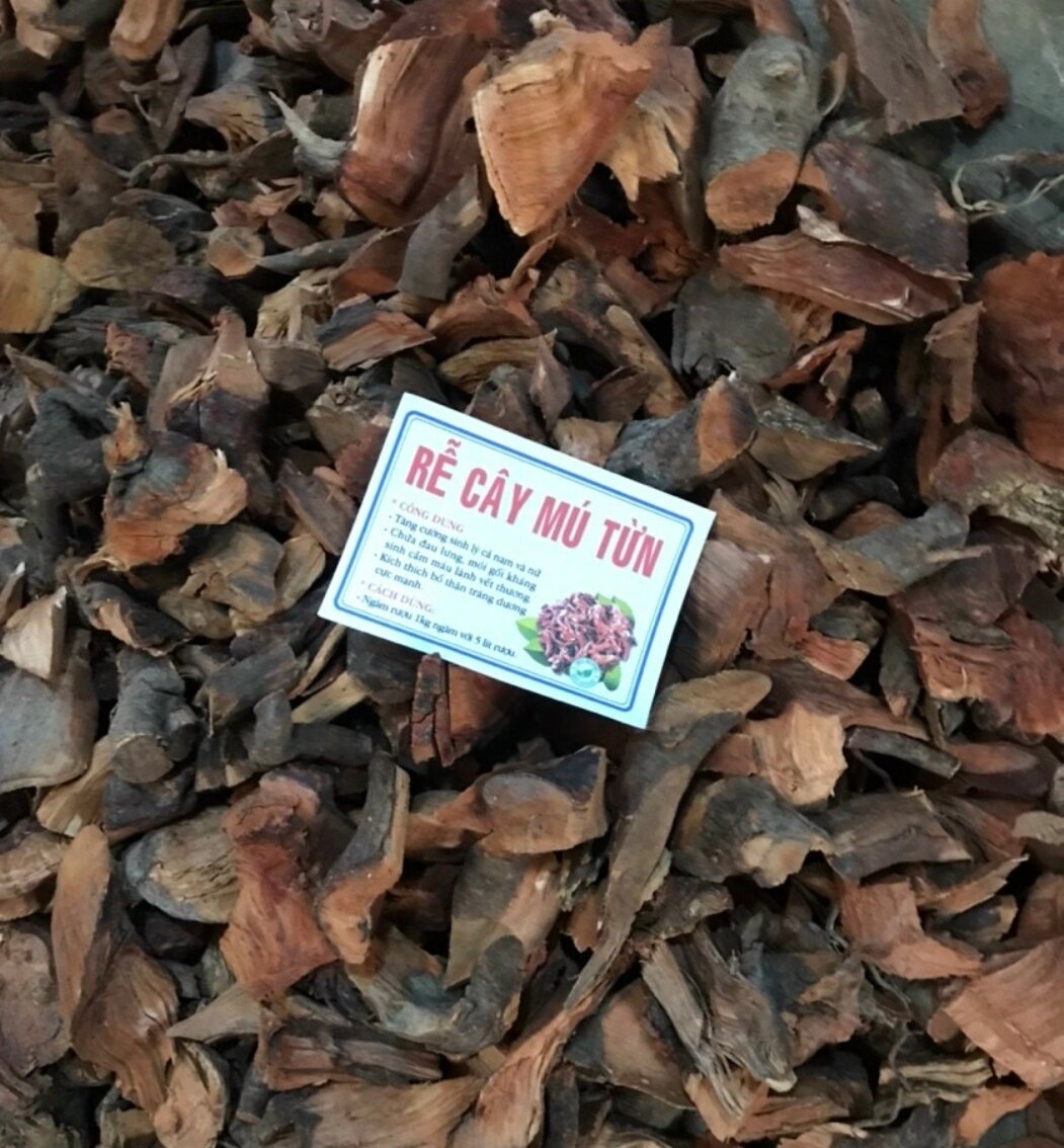 Rễ Cây Mú Từn 1kg