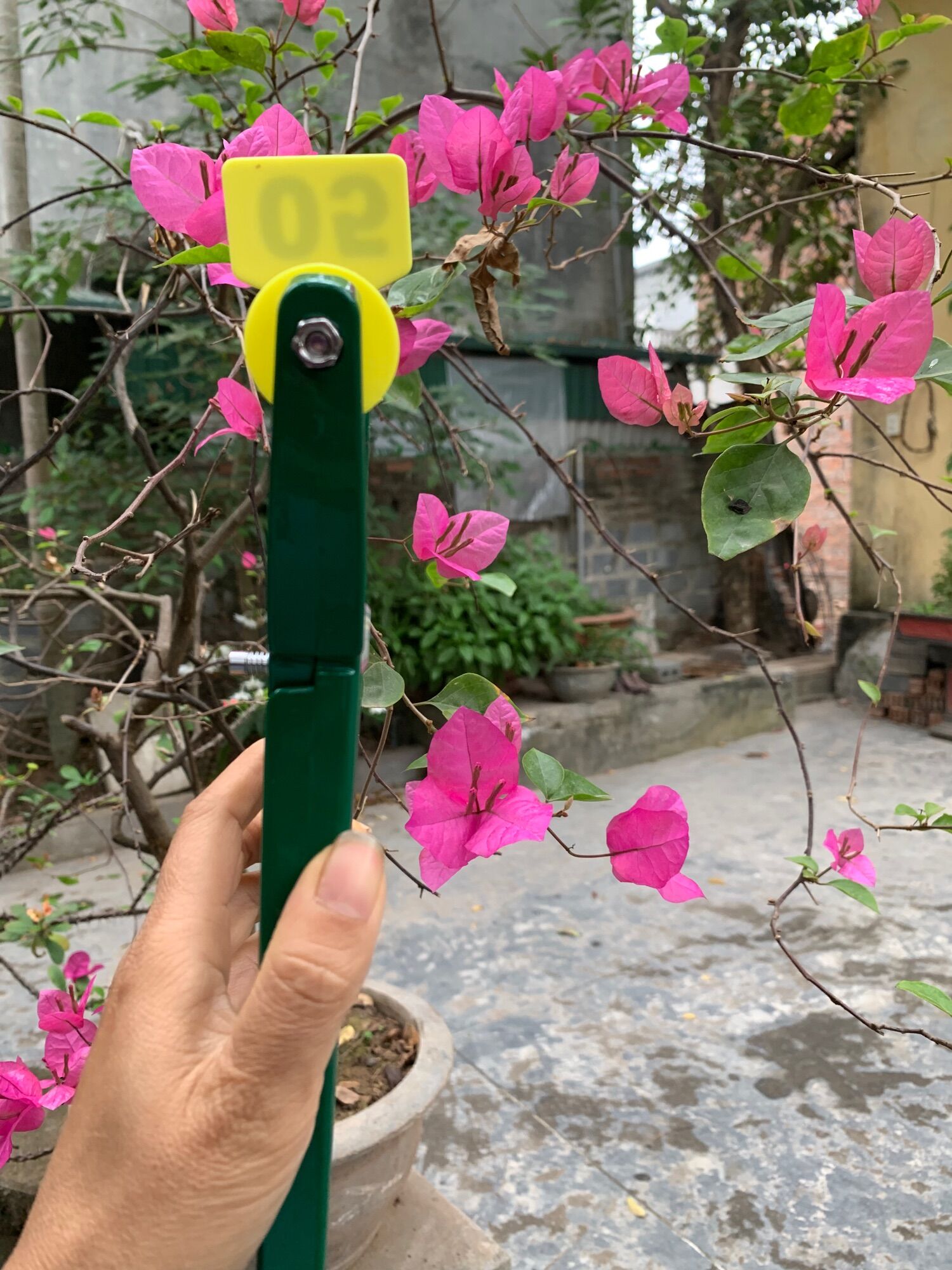 Kìm bấm thẻ tai bò dê heo lợn