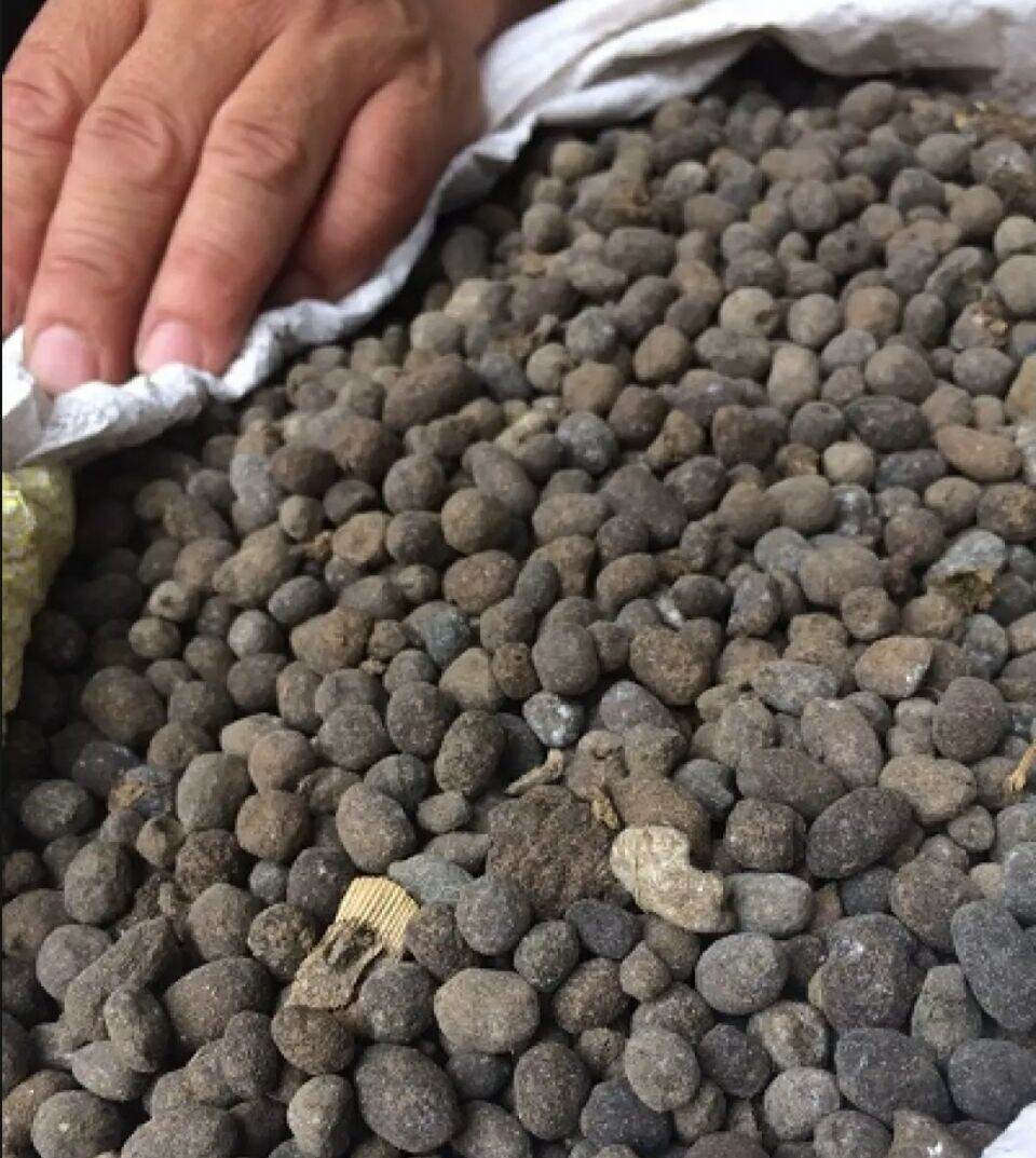 Phân Dê đã qua xử lý nấm, Bổ sung thêm axit Humic