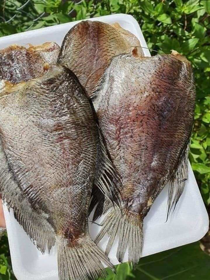 khô cá sặc bổi, sặc rằn cà mau  3 nắng 10con/kg, thịt khô thơm dai, khô cá sặc bổi chiên, trộn gỏi xoài, gỏi dưa leo rất ngon.