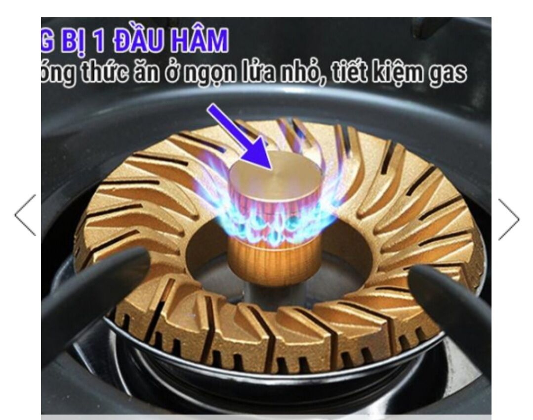 (Hàng chính hãng) Bếp gas đôi để bàn Rinnai-365SW