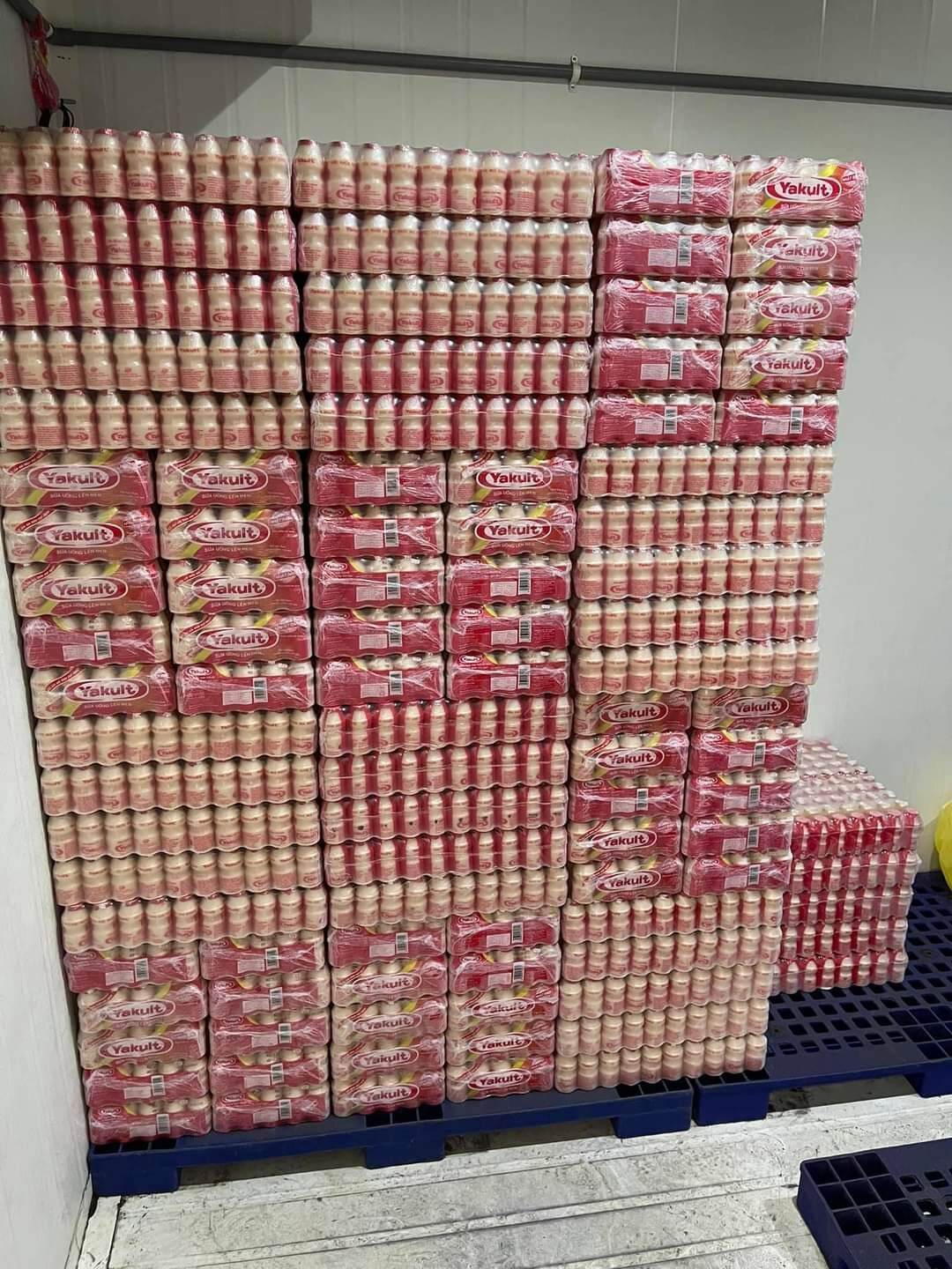 Sữa uống Yakult lên men tự nhiên 1t 10vx5h