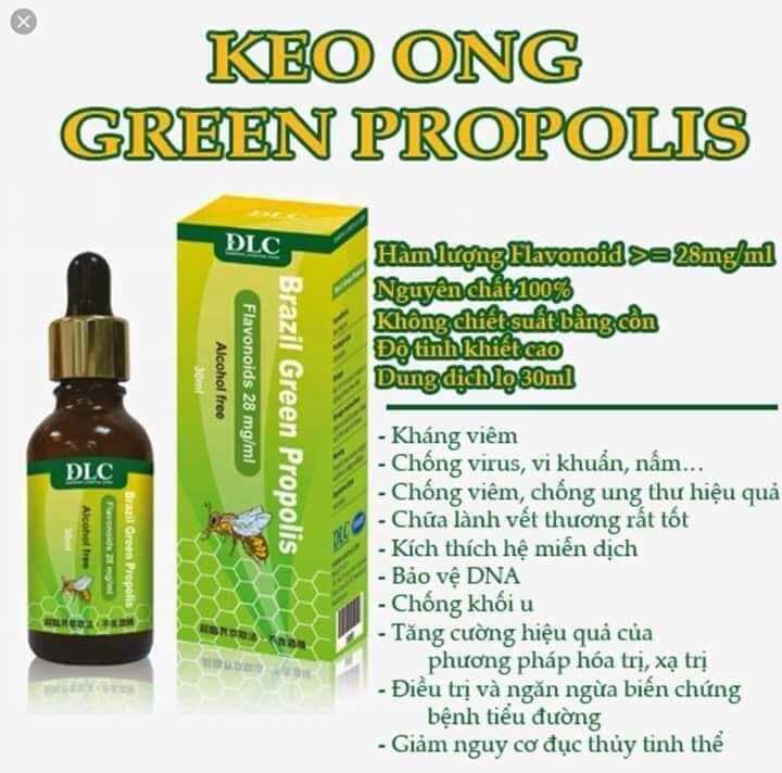 KEO ONG XANH - BRAZIL