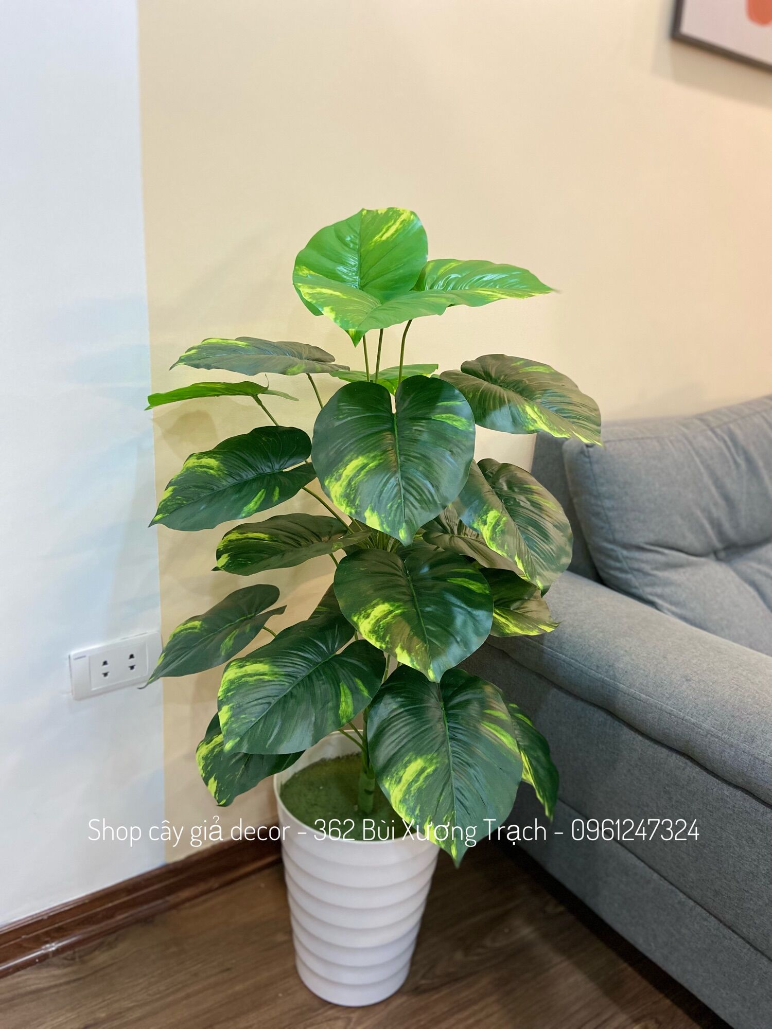 MẪU MỚI BÁN LỖ LẤY ĐÁNH GIÁ - cây giả - trầu bà ĐỐM 1m - 24 lá trang trí nhà,spa,nhà hàng,khách sạn...