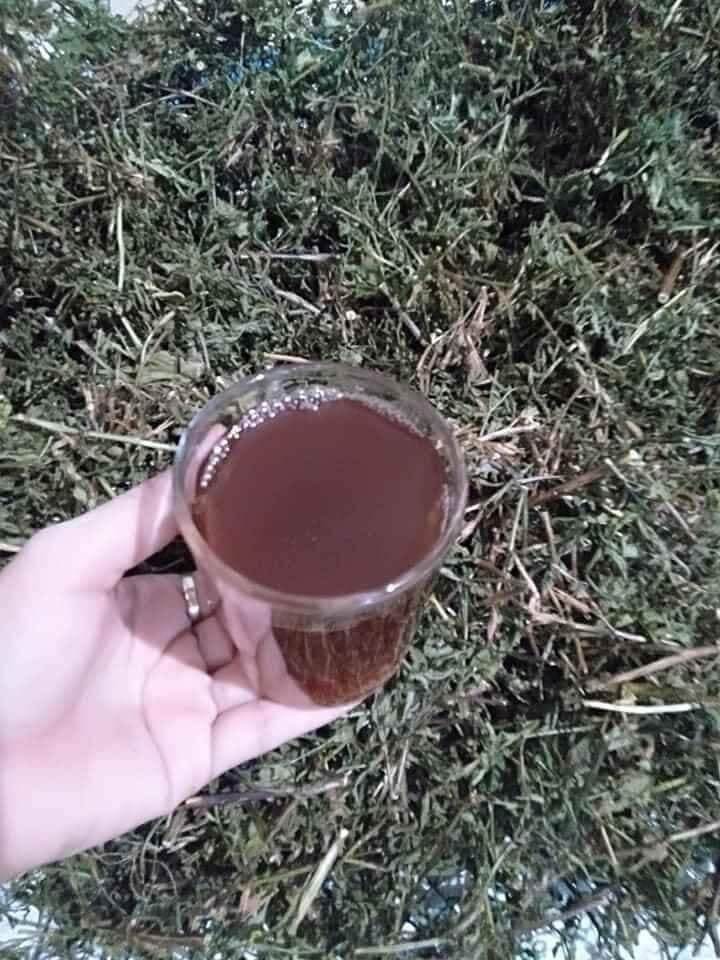 cây rau mương 0,5kg khô