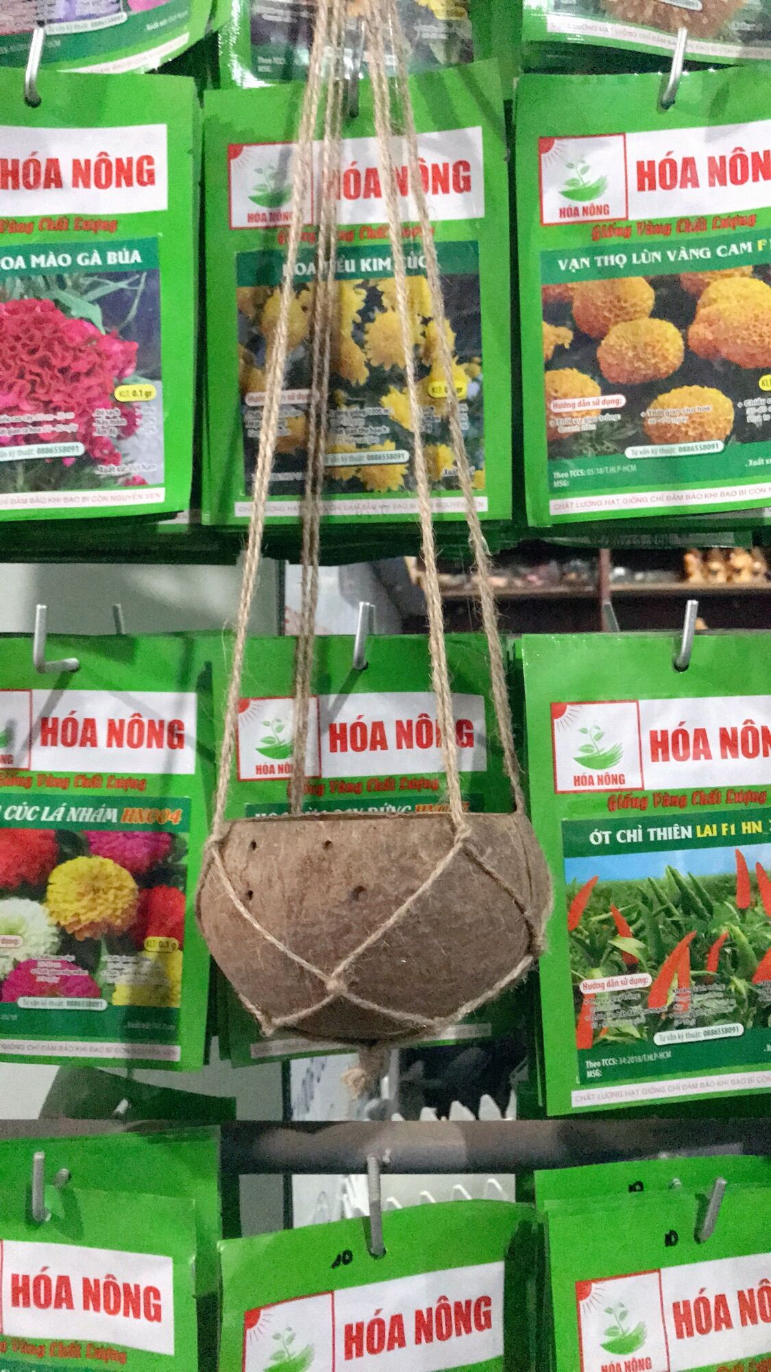 Chậu gáo dừa kèm dây treo (không kèm cây)