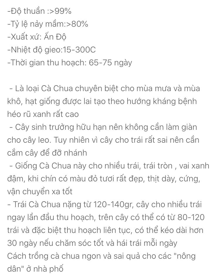 Hạt giống cà chua lai F1