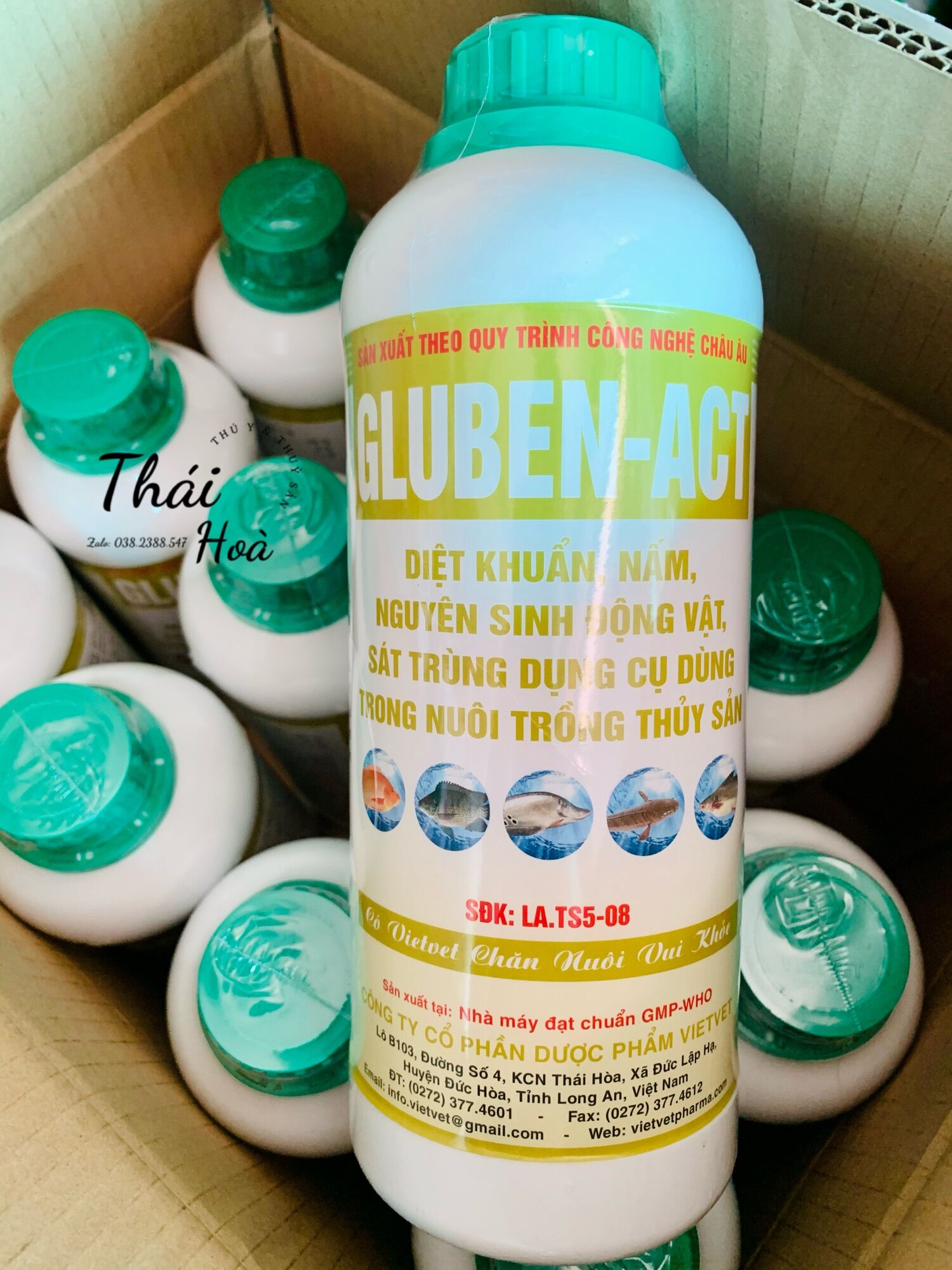 Gluben ACT 1 lít- diệt vi khuẩn, nấm, ngăn ngừa và hổ trợ các bệnh
