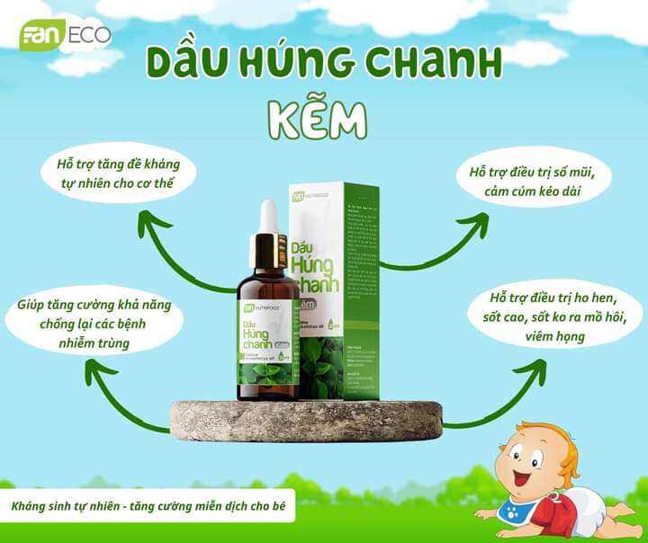 Dầu húng chanh kẽm kháng sinh tự nhiên, tăng đề kháng