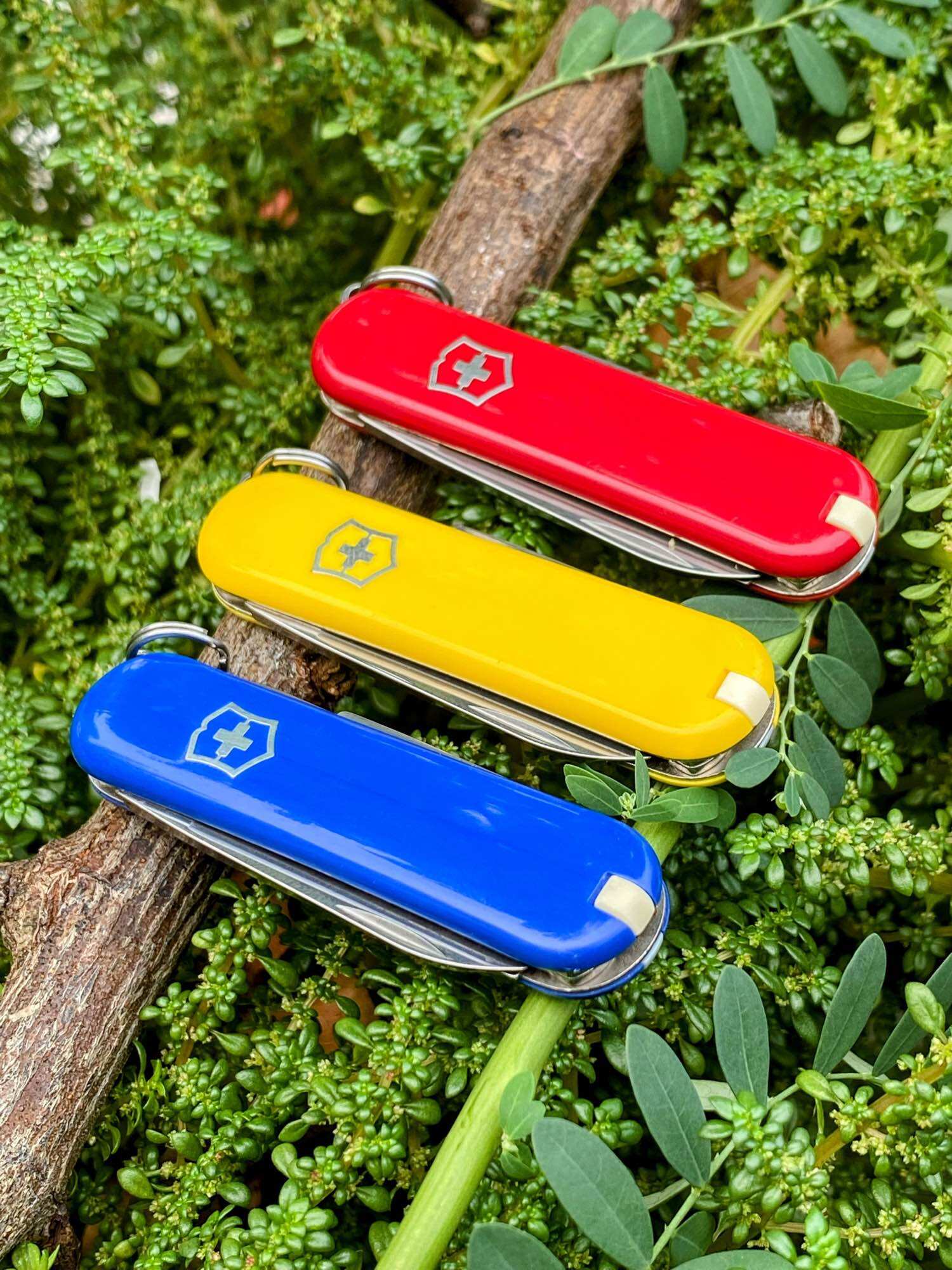 [HCM]Dụng Cụ Đa Năng Victorinox Thụy Sĩ (Classic)