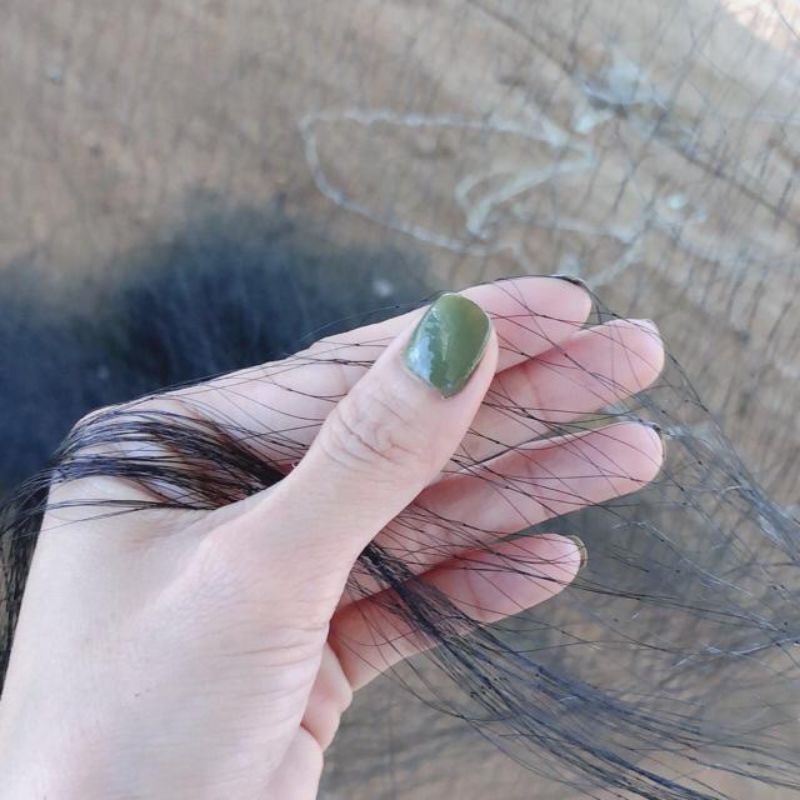 Lưới bẫy chim cu, dẽ giun, vẹt, két. Mắt lưới 8 phân. dài 10 mét