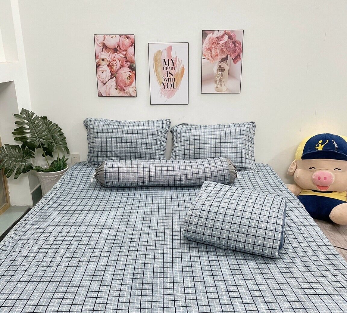 Bộ ga trải giường 4 món drap áo gối thun lạnh hàn quốc