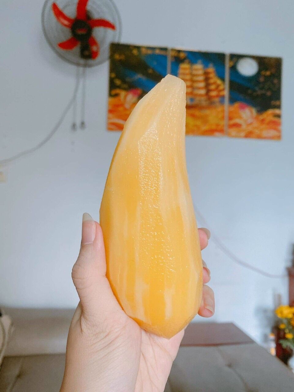 1kg khoai sâm đất (hàng gọt sẵn, giao hoả tốc)
