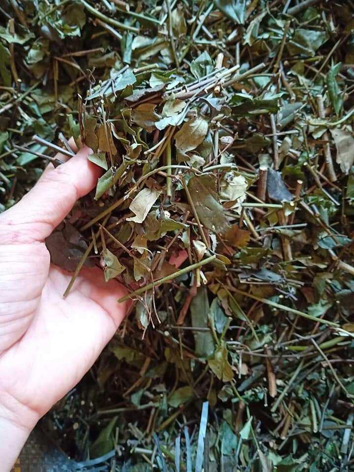 1 kg Chè Vằng Sẻ  chuẩn