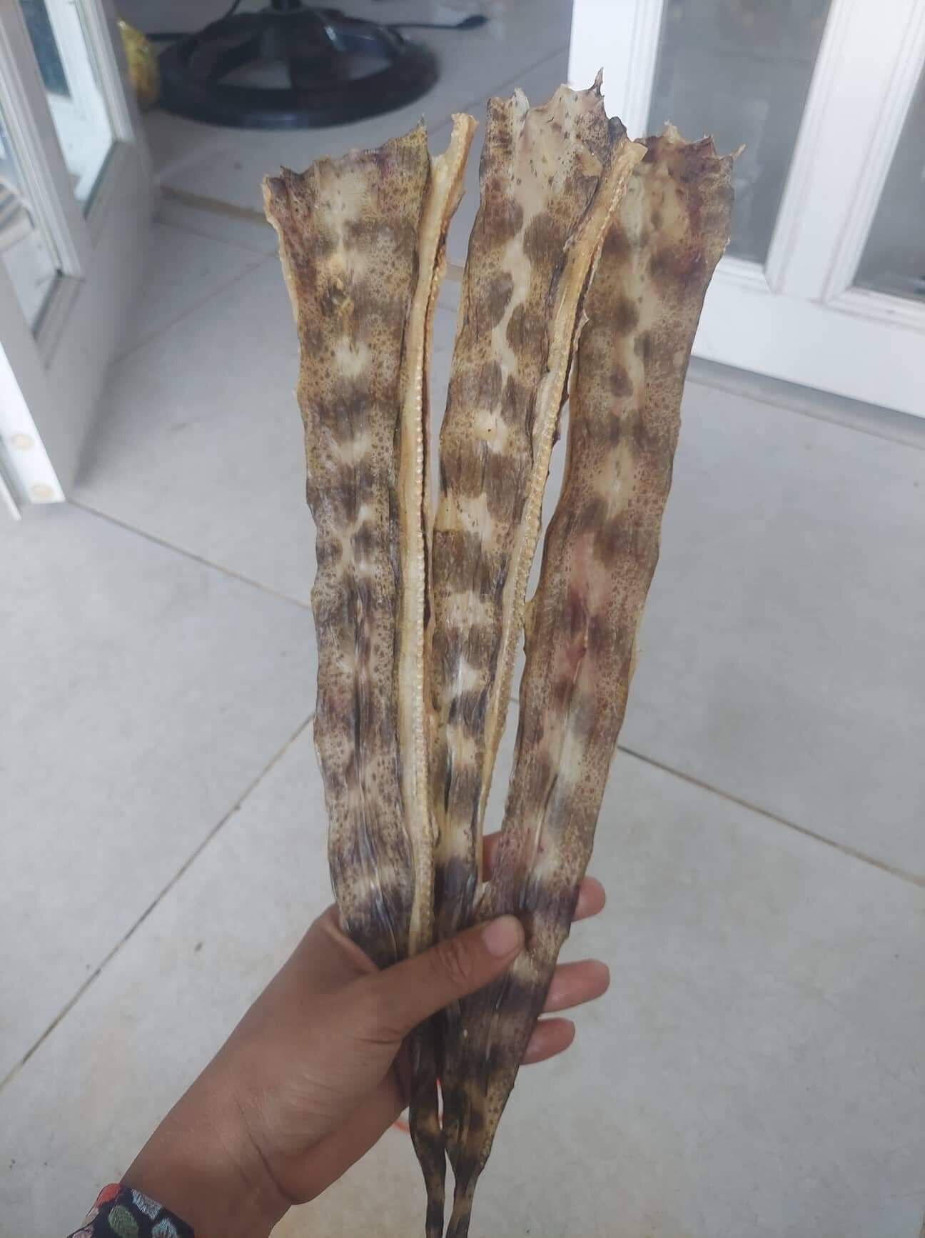 Khô cá chình bông lạc (1 ký)