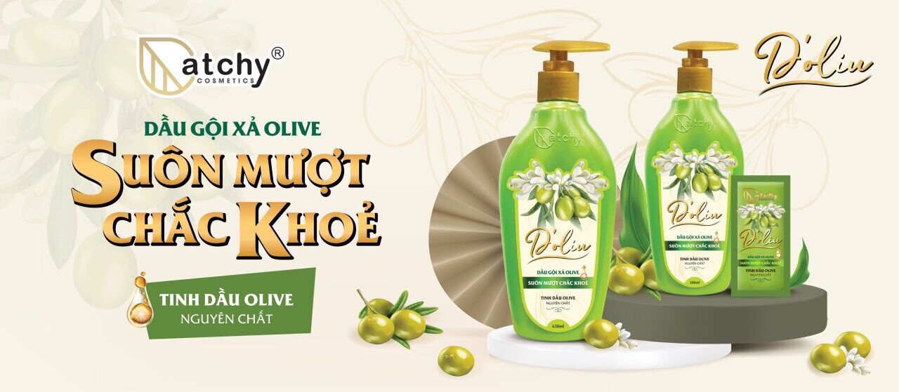 Dầu gội xả olive Catchy