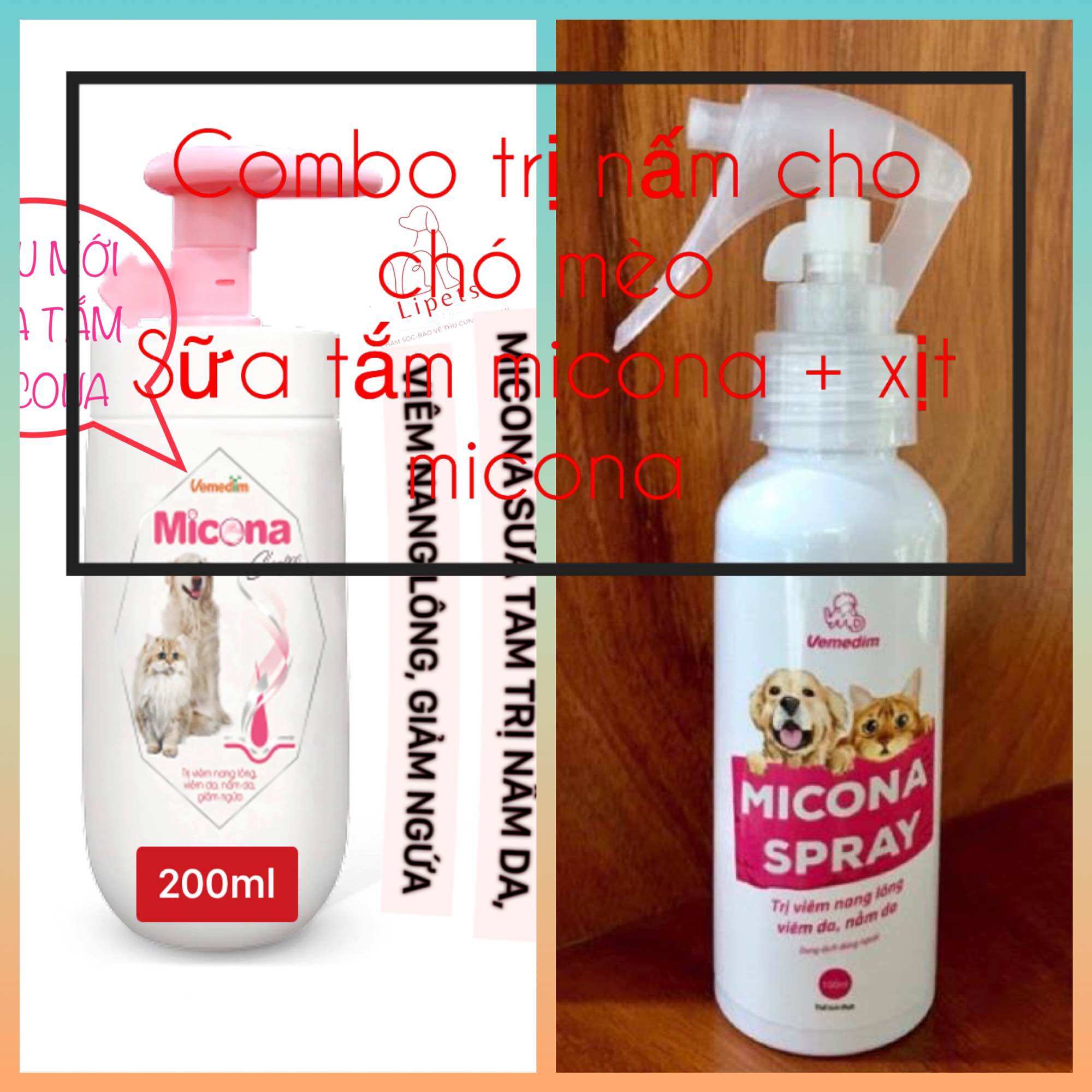 COMBO TRỊ NẤM SỮA TẮM MICONA VÀ XỊT MICONA