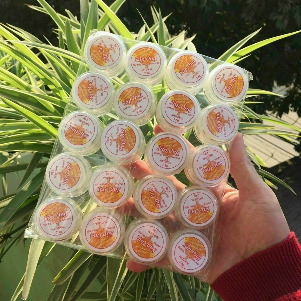 dưỡng môi sáp ong 100% thiên nhiên