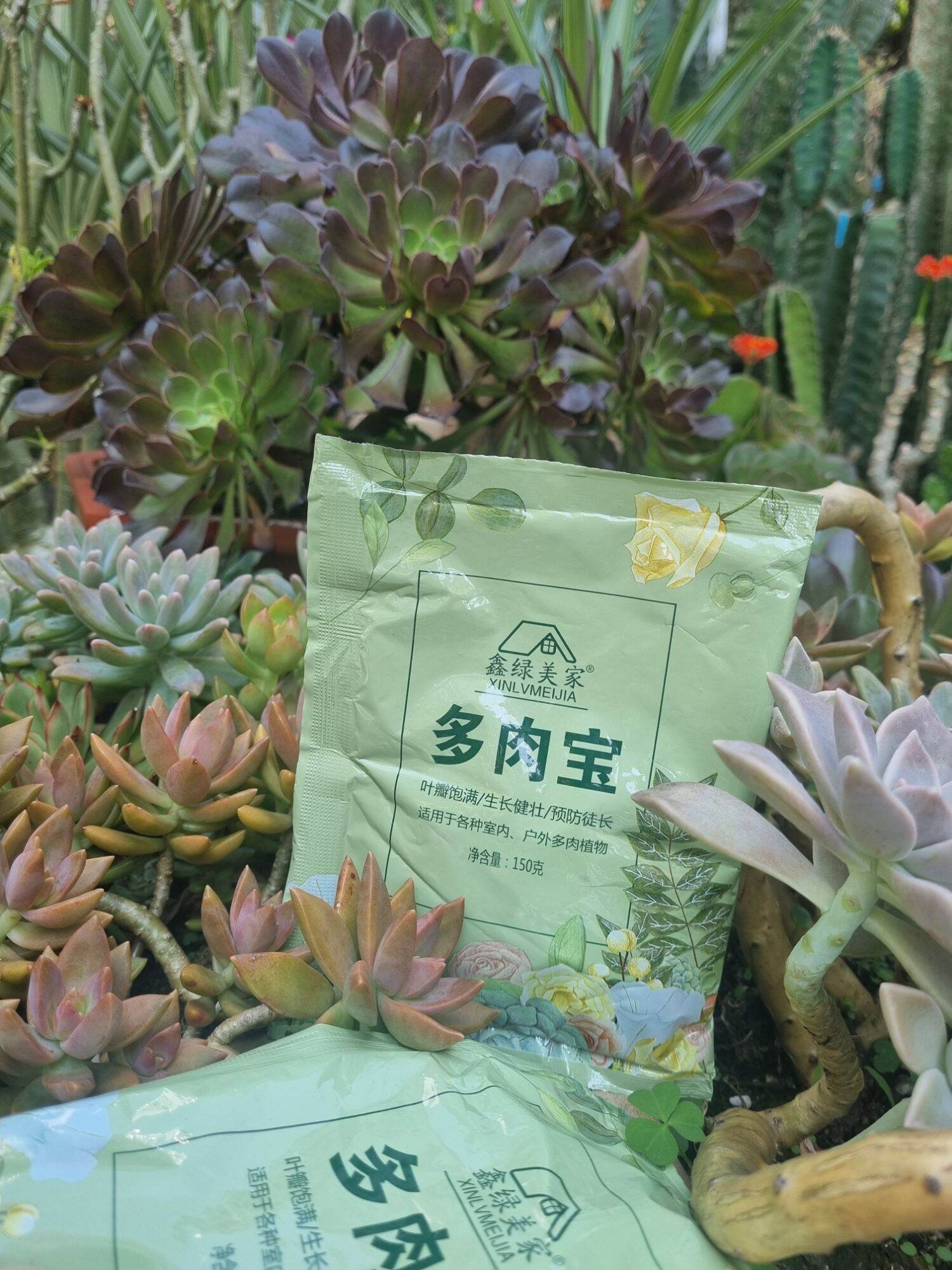 Phân bón chuyên dung cho sen đá